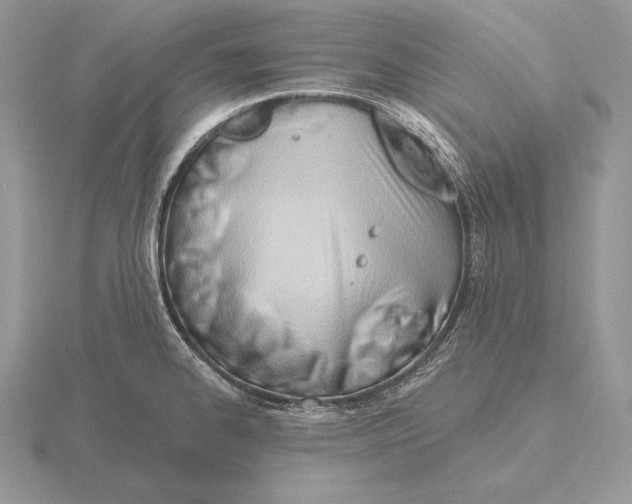 X0000115791334200912111140