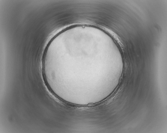 X0000115791335200912111140