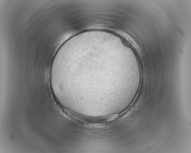 X0000115791337200912111140