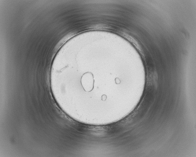 X0000115791338200912111140