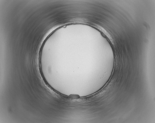 X0000115791339200912111140