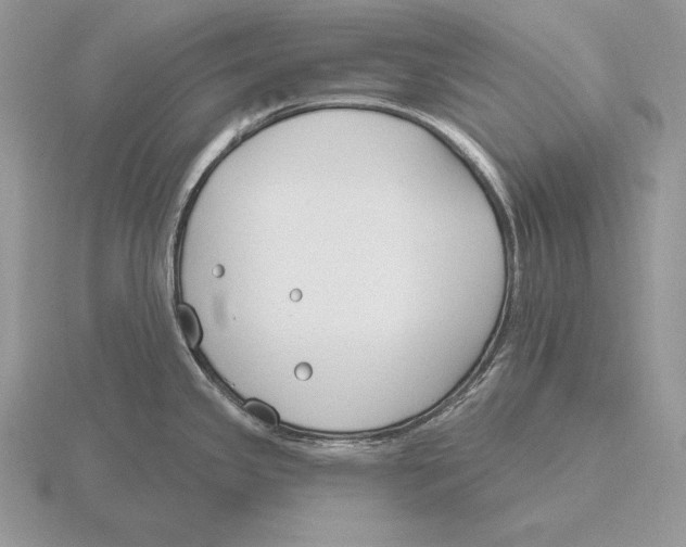 X0000115791341200912111140