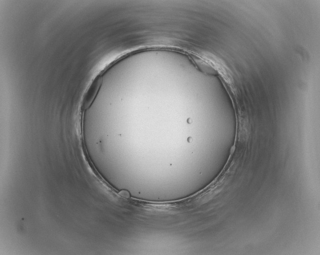 X0000115791342200912111140