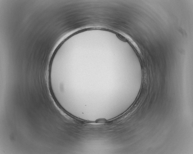 X0000115791343200912111140