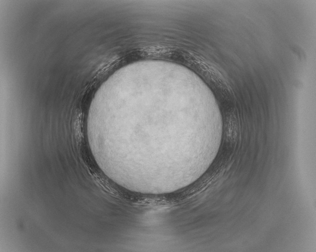 X0000115791346200912111140