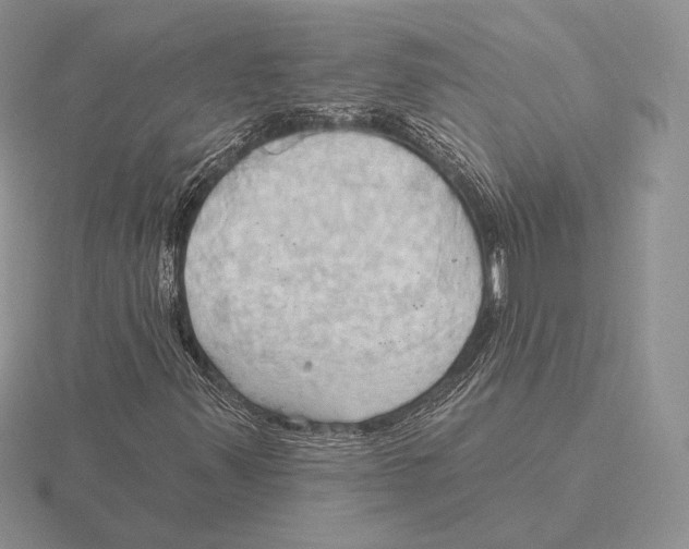 X0000115791347200912111139