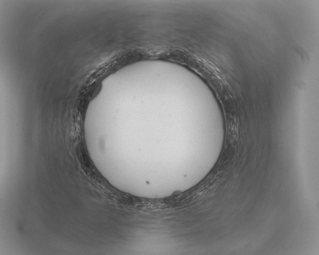 X0000115791349200912111139