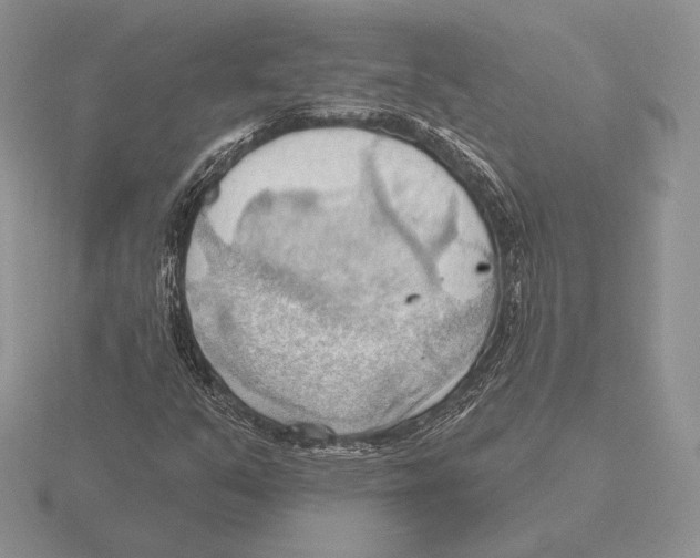 X0000115791351200912111139