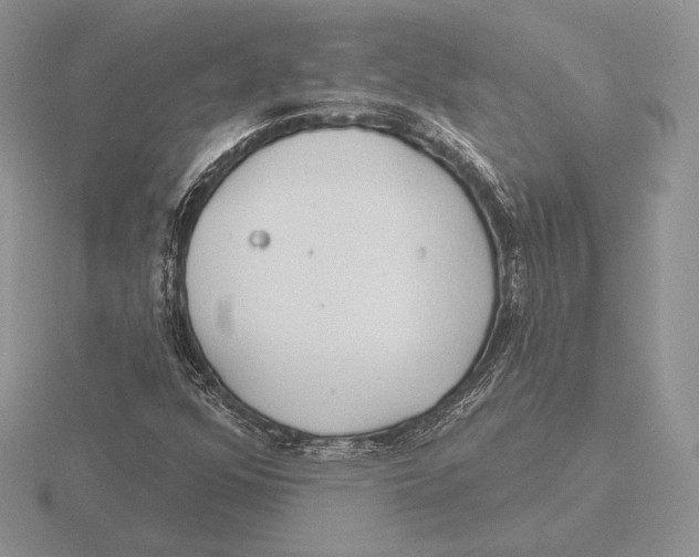 X0000115791352200912111139