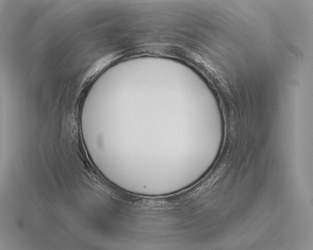 X0000115791354200912111139