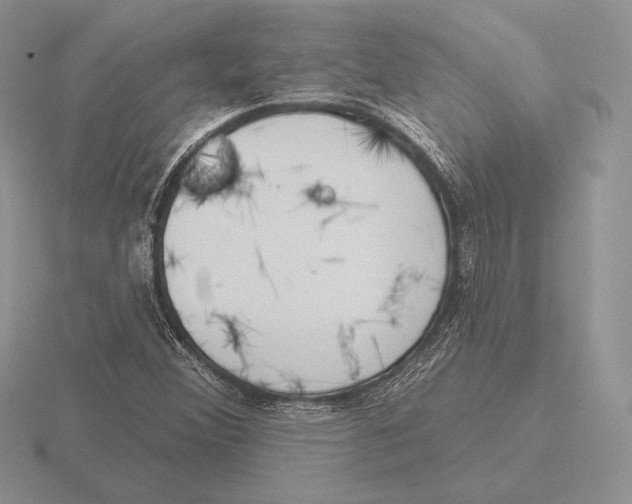 X0000115791356200912111139