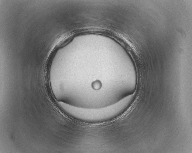 X0000115791357200912111139