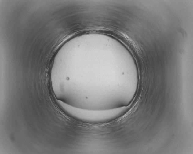 X0000115791361200912111139