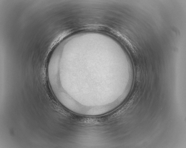 X0000115791362200912111139