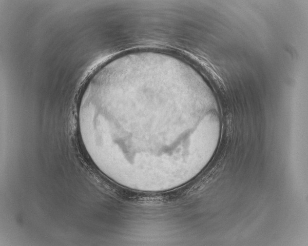 X0000115791363200912111139