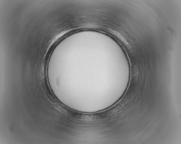 X0000115791364200912111139