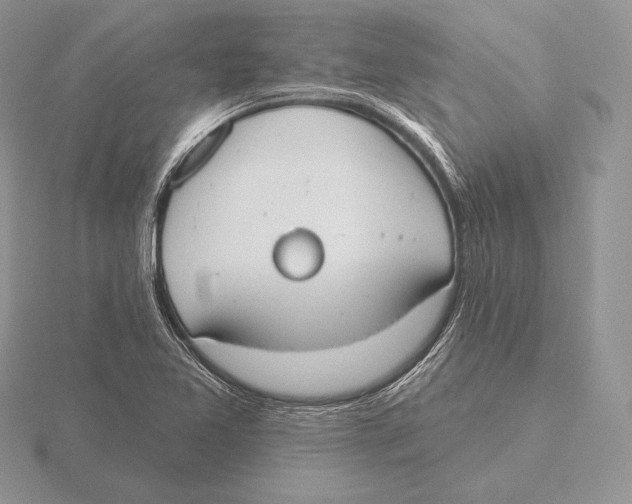 X0000115791365200912111139