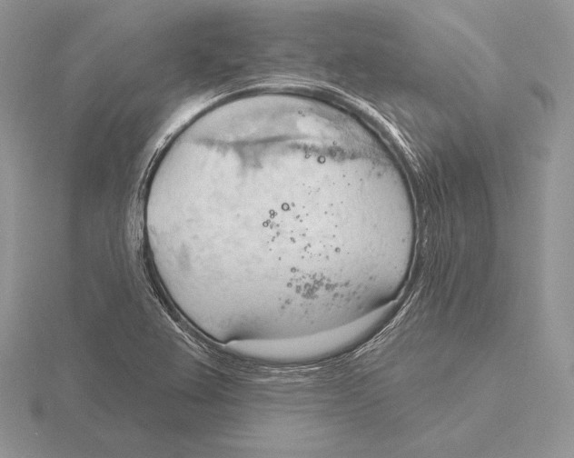 X0000115791367200912111139