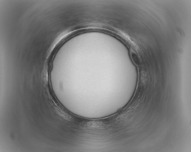 X0000115791368200912111139