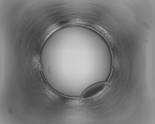 X0000115791369200912111139