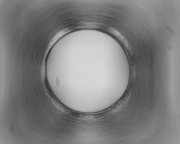 X0000115791370200912111139