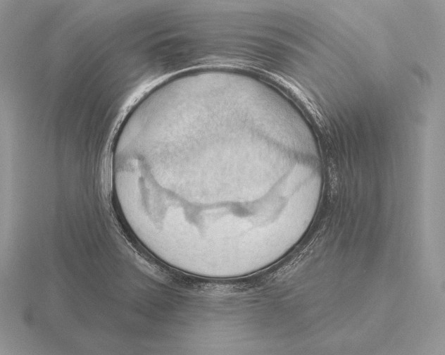 X0000115791371200912111139