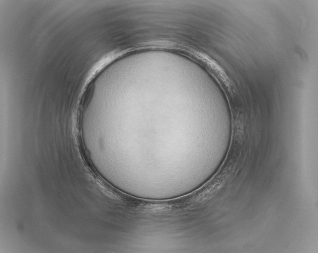 X0000115791373200912111139