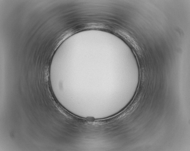 X0000115791377200912111139