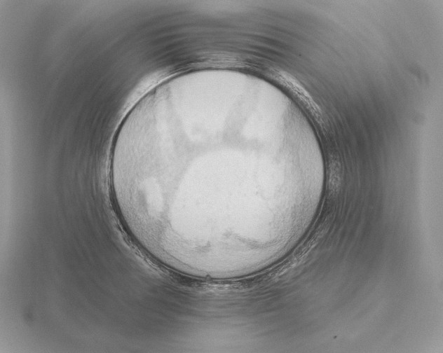 X0000115791378200912111139