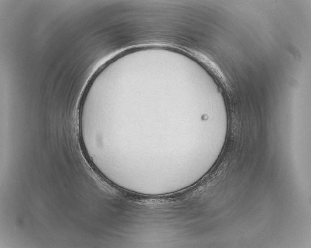 X0000115791380200912111139