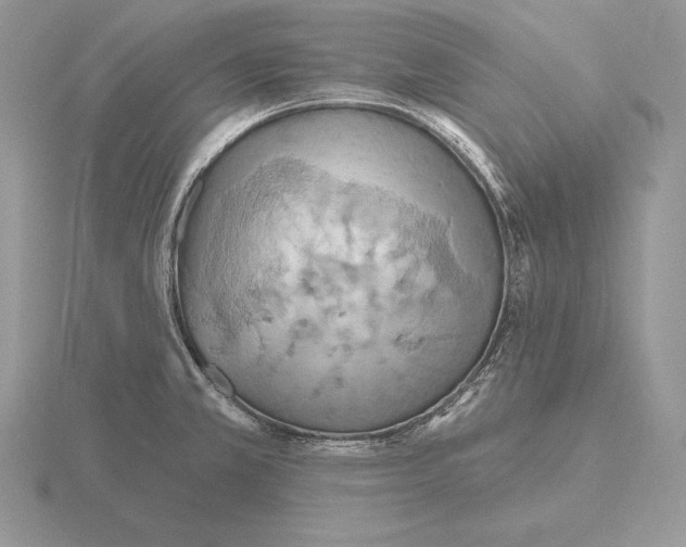 X0000115791381200912111139