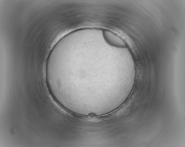 X0000115791382200912111139