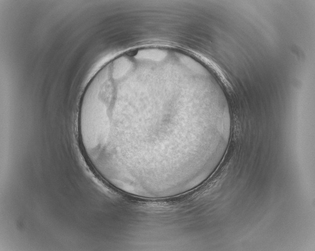 X0000115791383200912111139