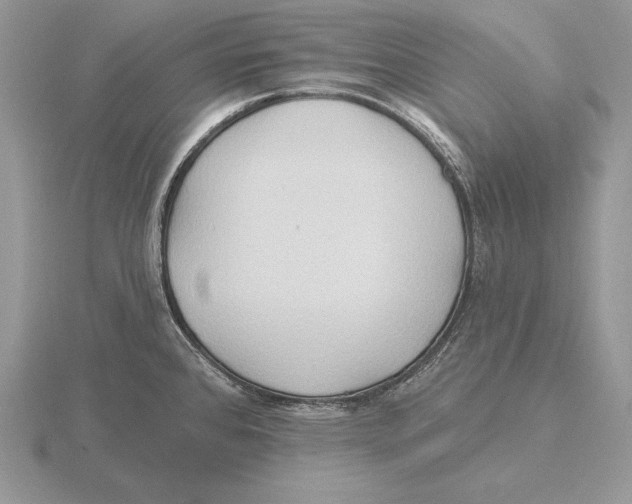 X0000115791384200912111139