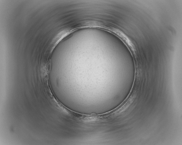 X0000115791385200912111139