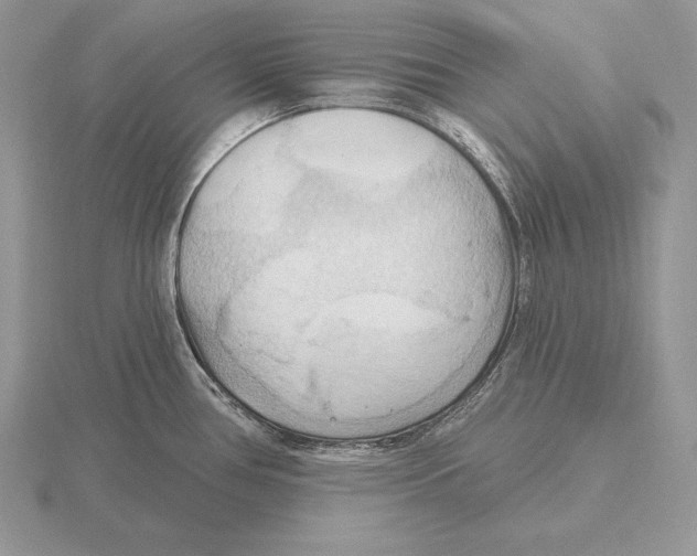 X0000115791386200912111139