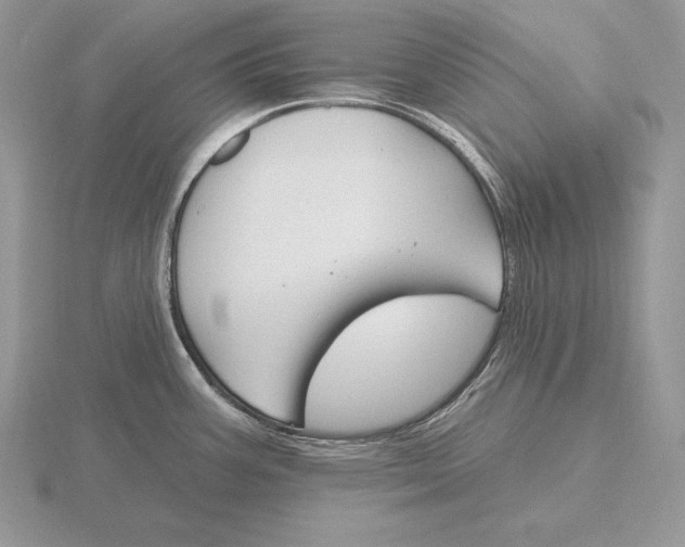 X0000115791387200912111139