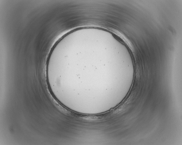 X0000115791388200912111139