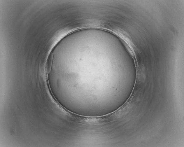 X0000115791389200912111139