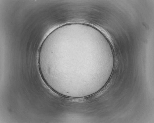 X0000115791390200912111139