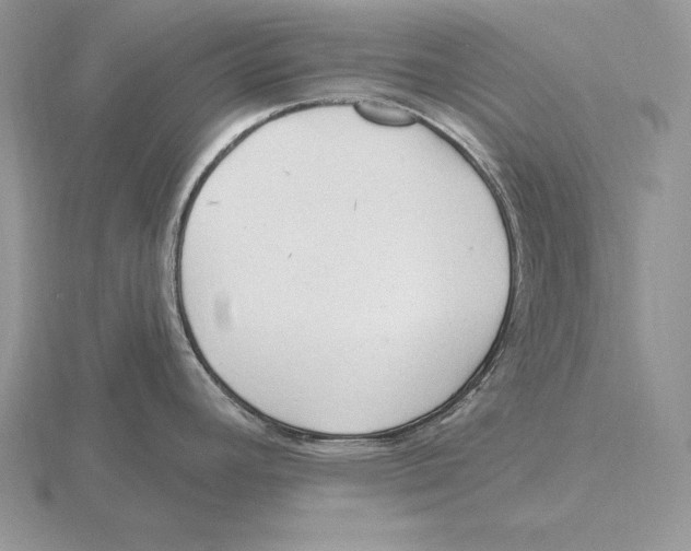 X0000115791392200912111139