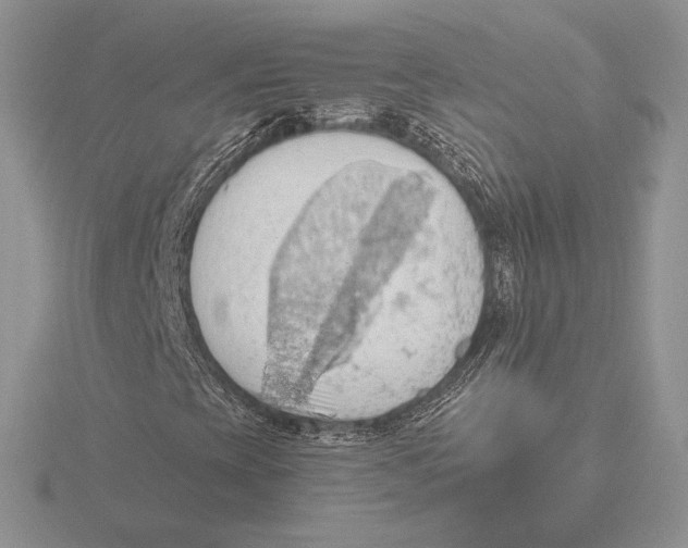 X0000115791393200912111138