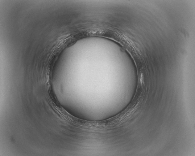 X0000115791396200912111138