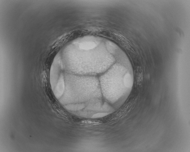 X0000115791397200912111138