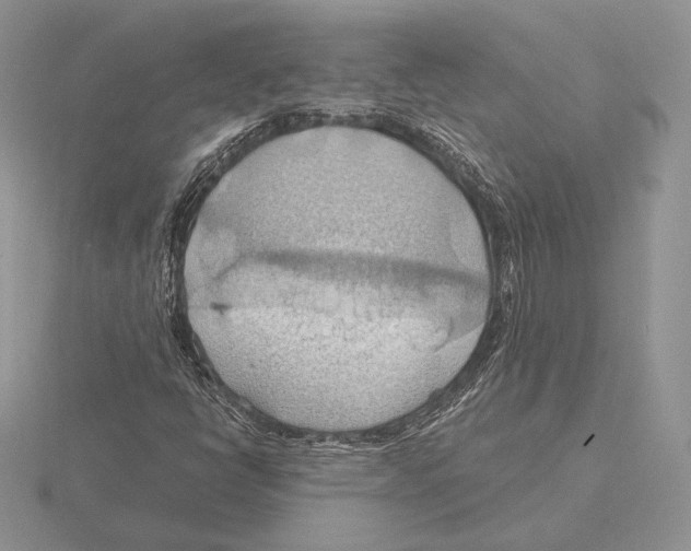 X0000115791398200912111138