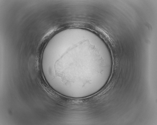 X0000115791403200912111138