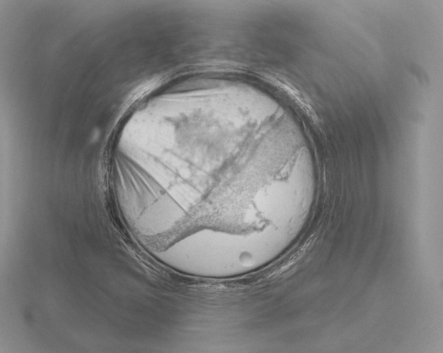 X0000115791405200912111138