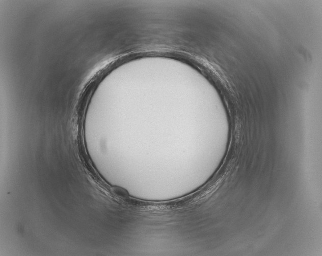 X0000115791406200912111138