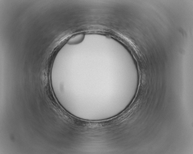 X0000115791407200912111138