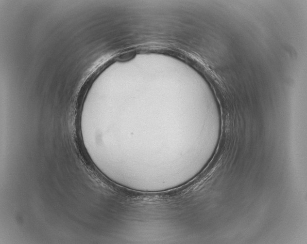 X0000115791410200912111139